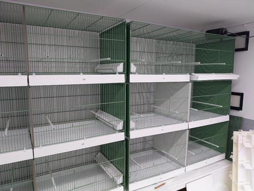 draad vogel kooien, Dieren en Toebehoren, Vogels | Hokken en Kooien, Zo goed als nieuw, Vogelkooi, Aluminium, Ophalen