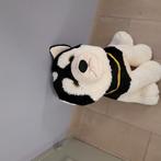 knuffel husky hond, Ophalen of Verzenden, Gebruikt, Hond
