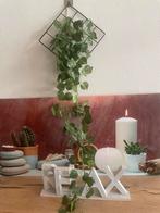 Woonkamer Decoratie Set: Relax, Klimop & Frame, Ophalen of Verzenden