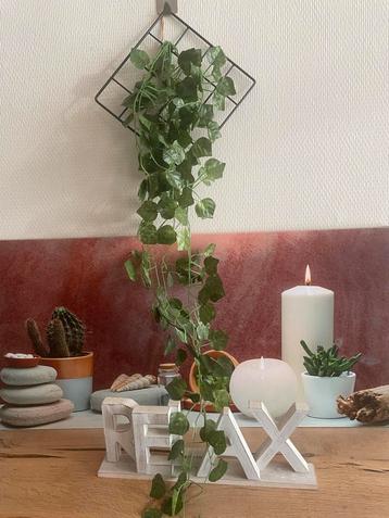 Woonkamer Decoratie Set: Relax, Klimop & Frame beschikbaar voor biedingen