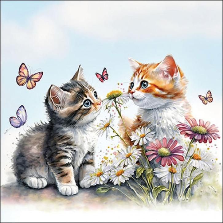 servetten 8670 kittens (33 x 33 cm)  per stuk, Hobby en Vrije tijd, Knutselen, Nieuw, Materiaal, Ophalen of Verzenden
