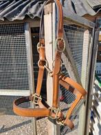 Leren halster, klein paard of grote pony., Ophalen of Verzenden, Gebruikt, Overige soorten