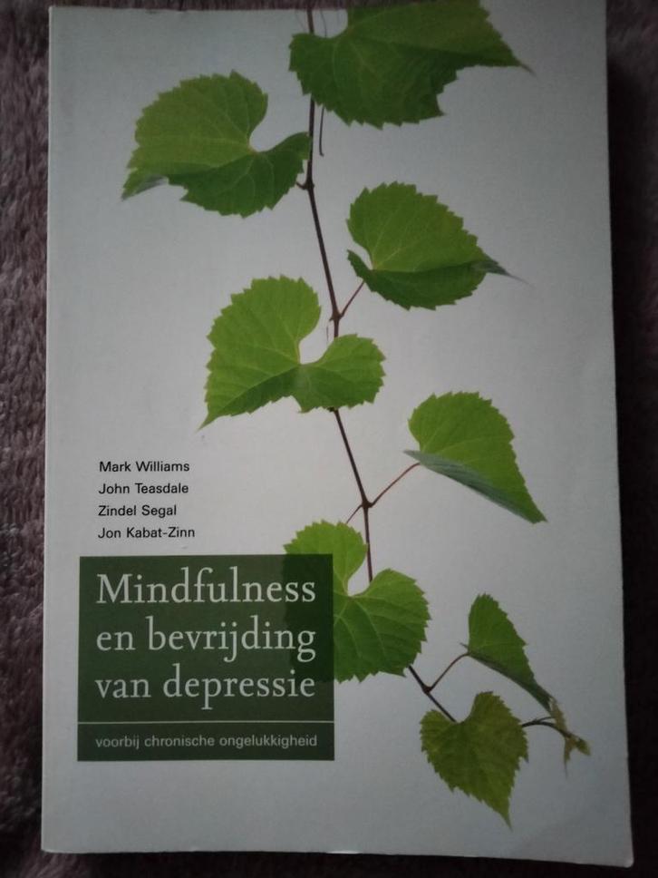 Mark Williams - Mindfulness en bevrijding van depressie, Boeken, Psychologie, Zo goed als nieuw, Ophalen