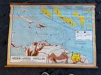 Nederlandse Antillen (Bakker en Rusch), Antiek en Kunst, Antiek | Schoolplaten, Ophalen of Verzenden, Natuur en Biologie