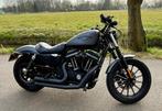 Harley Davidson XL 883 N Iron Sportster | MAT GRIJS | ABS, Motoren, 2 cilinders, Chopper, 883 cc, Particulier