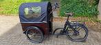 E-bakfiets Base Alloy, 4 kinderen of meer, Gebruikt, Elektrisch, Ophalen