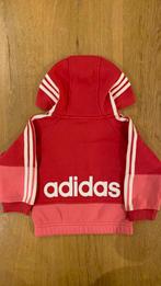 Vest maat 74 - Meisje adidas, Ophalen of Verzenden, Zo goed als nieuw, Meisje, Truitje of Vestje