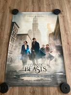 Fantastic Beasts XL Filmposter, Verzamelen, Posters, Rechthoekig Staand, Deurposter of groter, Ophalen of Verzenden, Zo goed als nieuw