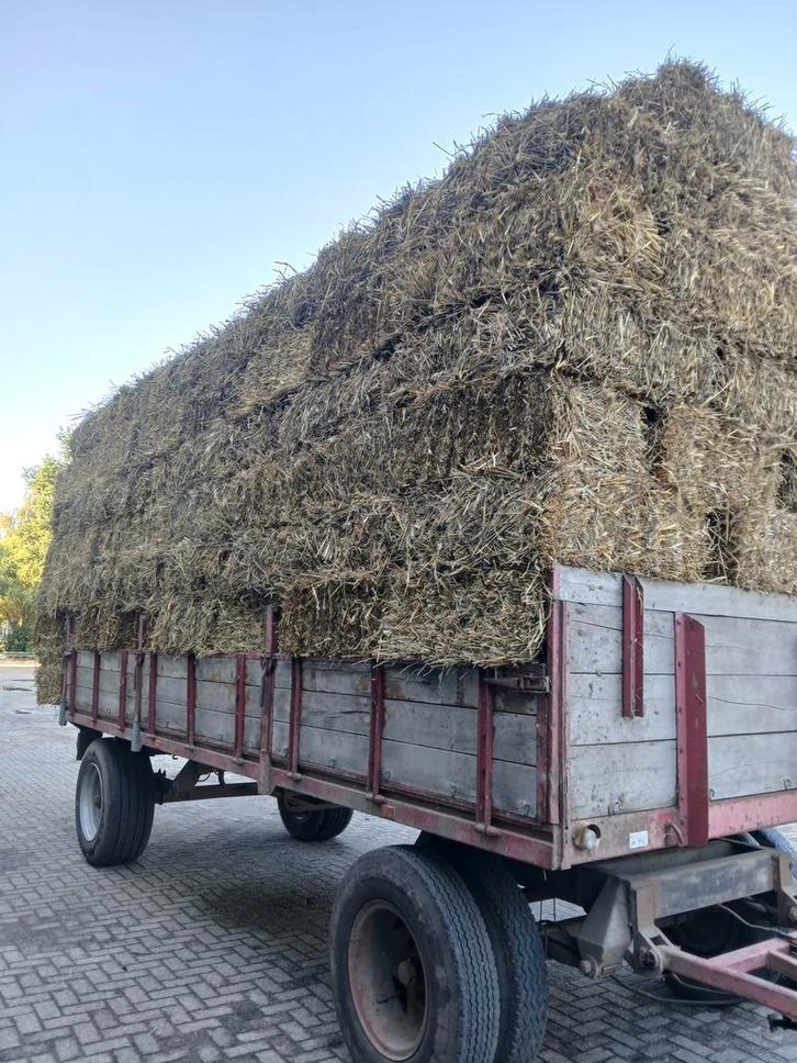 Mooie pakjes stro te koop!, Dieren en Toebehoren, Stalling en Weidegang, Stalling