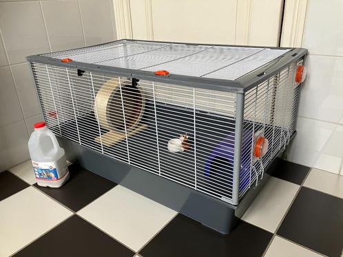 Caviakooi konijnenkooi kooi hok 95 x 57 cm - zie alle foto’s, Dieren en Toebehoren, Knaagdieren en Konijnen | Hokken en Kooien