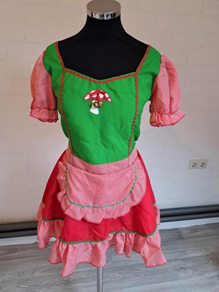 Kabouter jurkje maat 40., Kleding | Dames, Carnavalskleding en Feestkleding, Zo goed als nieuw, Carnaval, Maat 38/40 (M), Ophalen of Verzenden