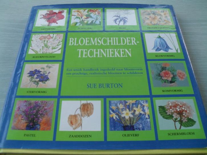 BLOEMSCHILDER TECHNIEKEN  Een geïllustreerde handleiding voo, Hobby en Vrije tijd, Schilderen, Zo goed als nieuw, Overige typen