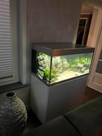 Oase Aquarium Highline white 200 veel upgrades en extra’s, Dieren en Toebehoren, Vissen | Aquaria en Toebehoren, Ophalen, Zo goed als nieuw