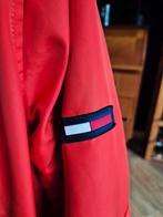 Winterjas Tommy Hilfiger, oranje - Maat L, Maat 52/54 (L), Tommy Hilfiger, Oranje, Ophalen of Verzenden