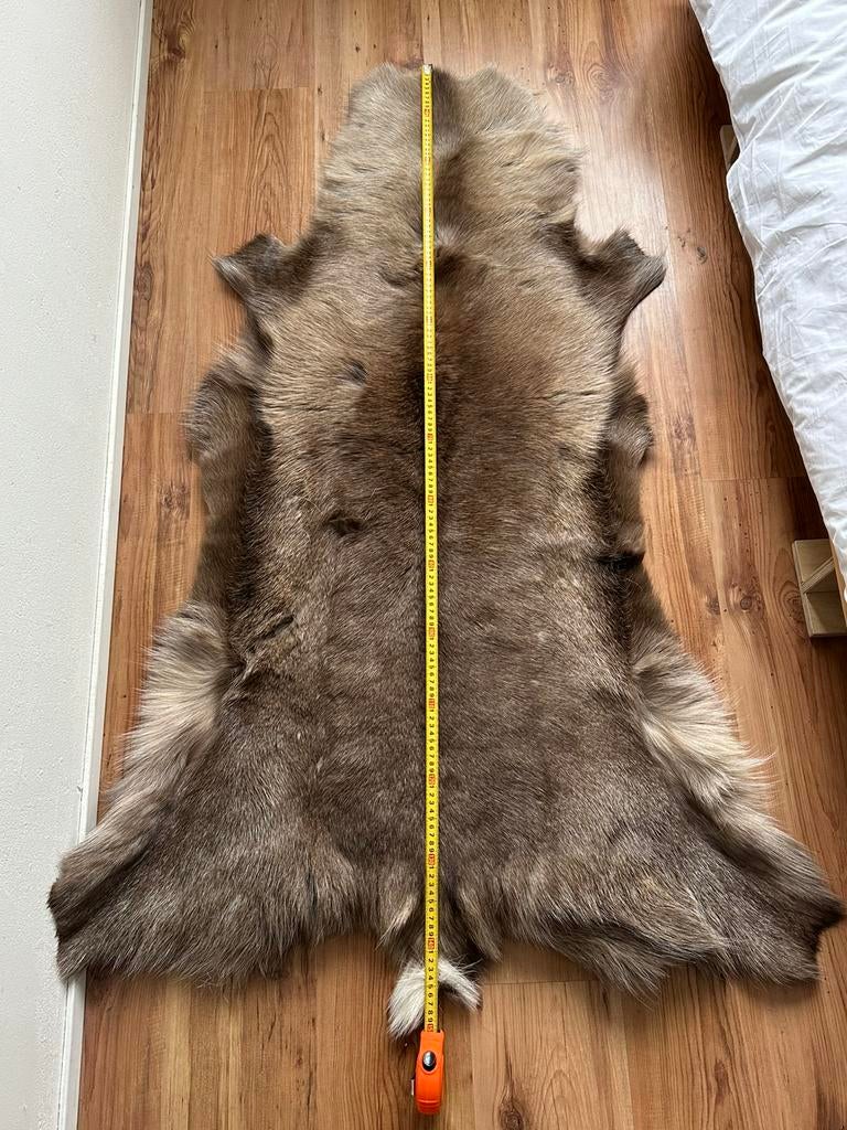 echt rendiervacht, Ophalen, Zo goed als nieuw