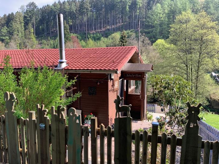 Knus vakantiehuisje in de Eifel, Uw hond is van harte welkom, Vakantie, Vakantiehuizen | Duitsland, Eifel, Chalet, Bungalow of Caravan