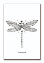 Poster Libelle A4 zwart-wit monochrome decoratie kinderkamer, Rechthoekig Staand, Verzenden, A4 of kleiner, Nieuw