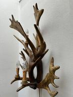 Unieke Gewei Wandlamp, Ophalen, Gebruikt, Hout