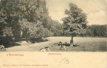 (304-010-037) s-Gravenhage Hertenkamp beschikbaar voor biedingen