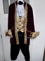 Carnavalskleding Te Koop, Ophalen, Carnaval, Maat 48/50 (M), Nvt