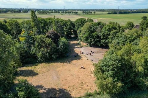 1 stalling + weidegang per 1 september, Dieren en Toebehoren, Stalling en Weidegang, Stalling, Weidegang