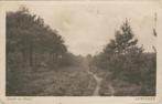 Lunteren Bosch en Heide   1905, Verzenden, Voor 1920, Gelopen, Gelderland