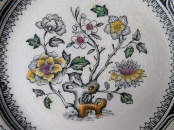 Wood & Sons , patroon Dorset 4-tal dessert bordjes. beschikbaar voor biedingen