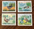 Moldavië 1996 Vogels Postzegels - Postfris, Ophalen of Verzenden, Overige landen, Postfris