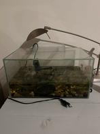 Aquarium, Dieren en Toebehoren, Ophalen of Verzenden, Gebruikt, Leeg aquarium