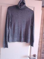 Glitter trui., H&M., Ophalen of Verzenden, Gedragen, Maat 36 (S)
