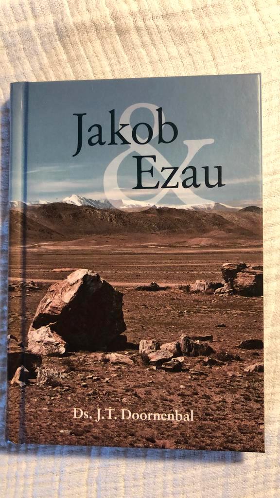 J.T. Doornenbal - Jakob en Ezau, Boeken, Godsdienst en Theologie, Zo goed als nieuw, Ophalen of Verzenden