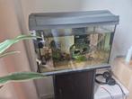 Aquarium, Ophalen, Gebruikt, Gevuld zoetwateraquarium