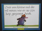 Wolf Erlbruch W.Holzwarth  Over een kleine mol die wil weten, Boeken, Ophalen of Verzenden, Zo goed als nieuw