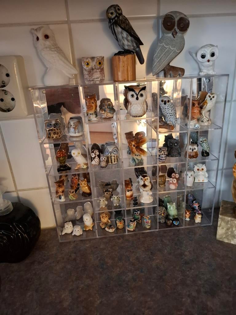 mini uiltjes, Ophalen of Verzenden, Dier