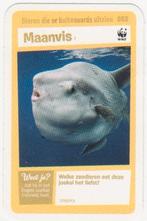 Super dieren no.52 Maanvis [2702]  [VeOvSu], Verzamelen, Supermarktacties, Albert Heijn, Ophalen of Verzenden