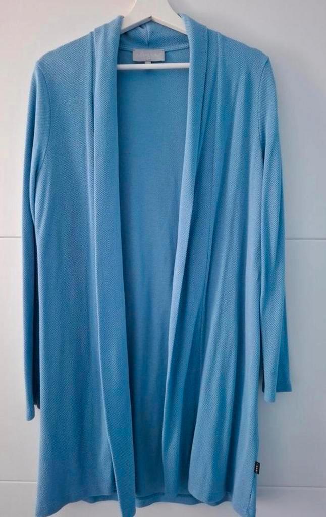 Mooi pastelblauw vest van Elvira maat L 40/42, Kleding | Dames, Truien en Vesten, Zo goed als nieuw, Maat 42/44 (L), Blauw, Ophalen of Verzenden