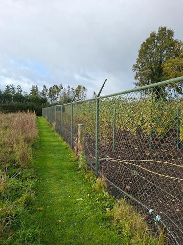 Gaashekwerk 150 meterlengte180 hoog beschikbaar voor biedingen