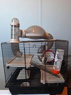Hamster kooi, Dieren en Toebehoren, Kooi, Minder dan 75 cm, Hamster, Ophalen