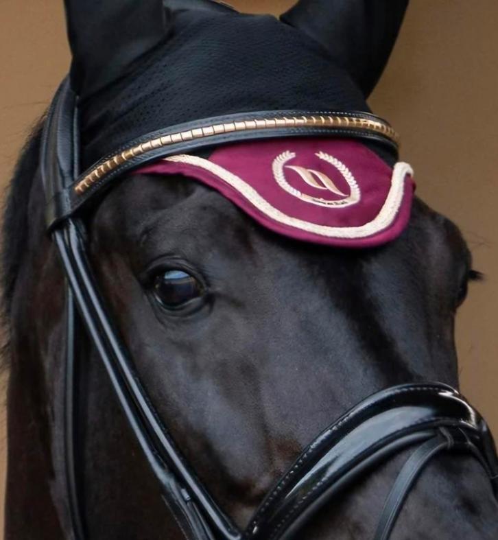 Nieuw back on track oornetjes, Dieren en Toebehoren, Paarden en Pony's | Hoofdstellen en Tuigage, Ophalen of Verzenden