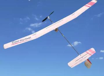 Birdman 790mm 50-60g | Balsa | KIT + Elektronica | NIEUW beschikbaar voor biedingen