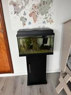 Juwel aquarium, Ophalen of Verzenden, Zo goed als nieuw, Leeg aquarium