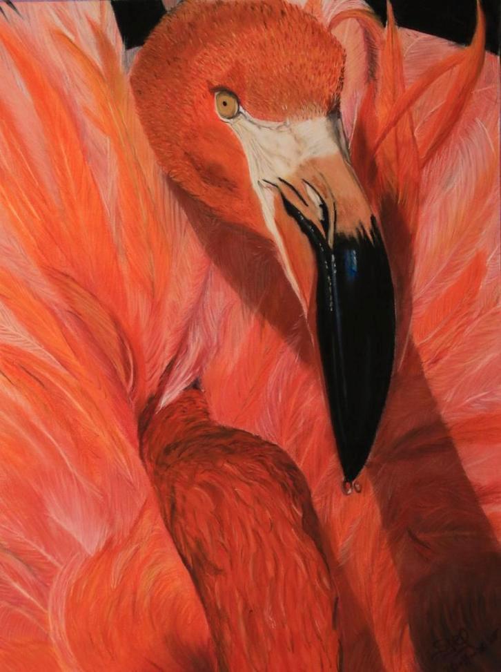 Flamingo Pastel Schilderij door Sjef Schaafsma, Huis en Inrichting, Woonaccessoires | Schilderijen, Tekeningen en Foto's, Ophalen of Verzenden