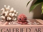 Baby Crochet Octopus, Ophalen of Verzenden, Nieuw, Haken, Wol of Garen