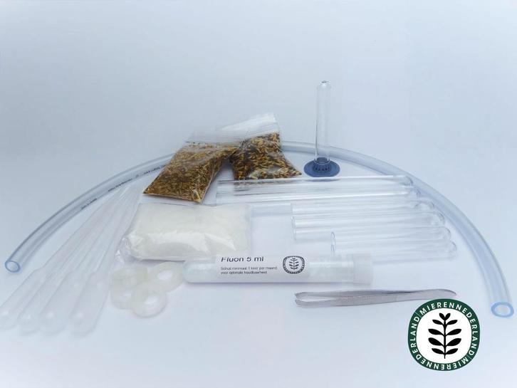 Zaadeters starters set MIEREN houden voeding ants queen, Dieren en Toebehoren, Insecten en Spinnen, Mieren