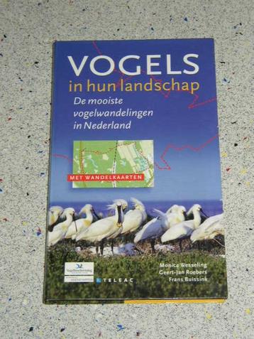 Vogels in hun landschap de mooiste vogelwandelingen in NL beschikbaar voor biedingen