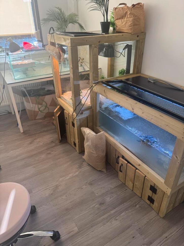 Twee schildpadden + compleet verblijf – gratis, goede plek.