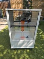 Omlet Hamsterkooi, Kooi, Zo goed als nieuw, Ophalen, Minder dan 60 cm