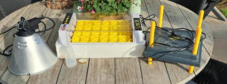 Broedmachine met toebehoren, Dieren en Toebehoren, Pluimvee | Toebehoren, Zo goed als nieuw, Broedmachine, Ophalen of Verzenden