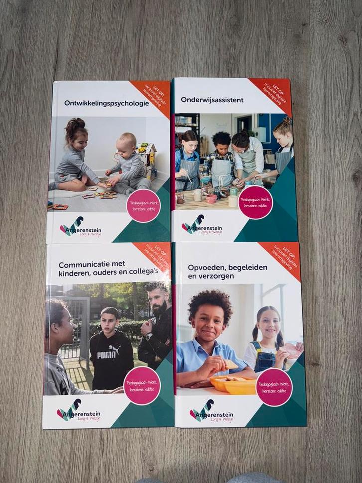Set Angerestein - Onderwijsassistent (zonder licenties), Boeken, Schoolboeken, Zo goed als nieuw, Overige vakken, Overige niveaus