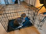 Honden bench!, Dieren en Toebehoren, Ophalen, Zo goed als nieuw, 75 tot 110 cm, Minder dan 65 cm